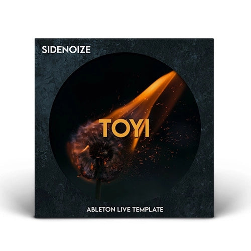Toyi