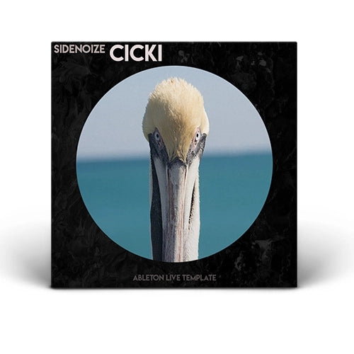 Cicki (Ableton template)