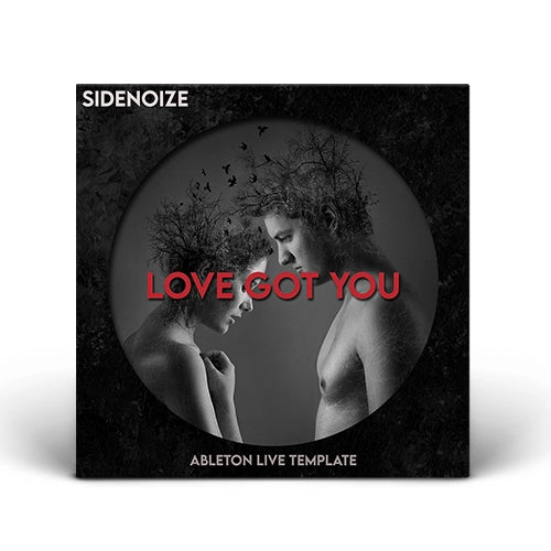 Love got you